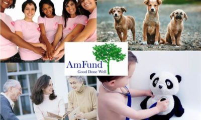 AMFund