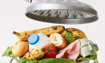 reduce food waste