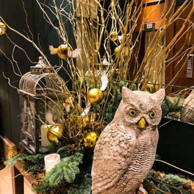 Harry’s Owl and Golden Snitches